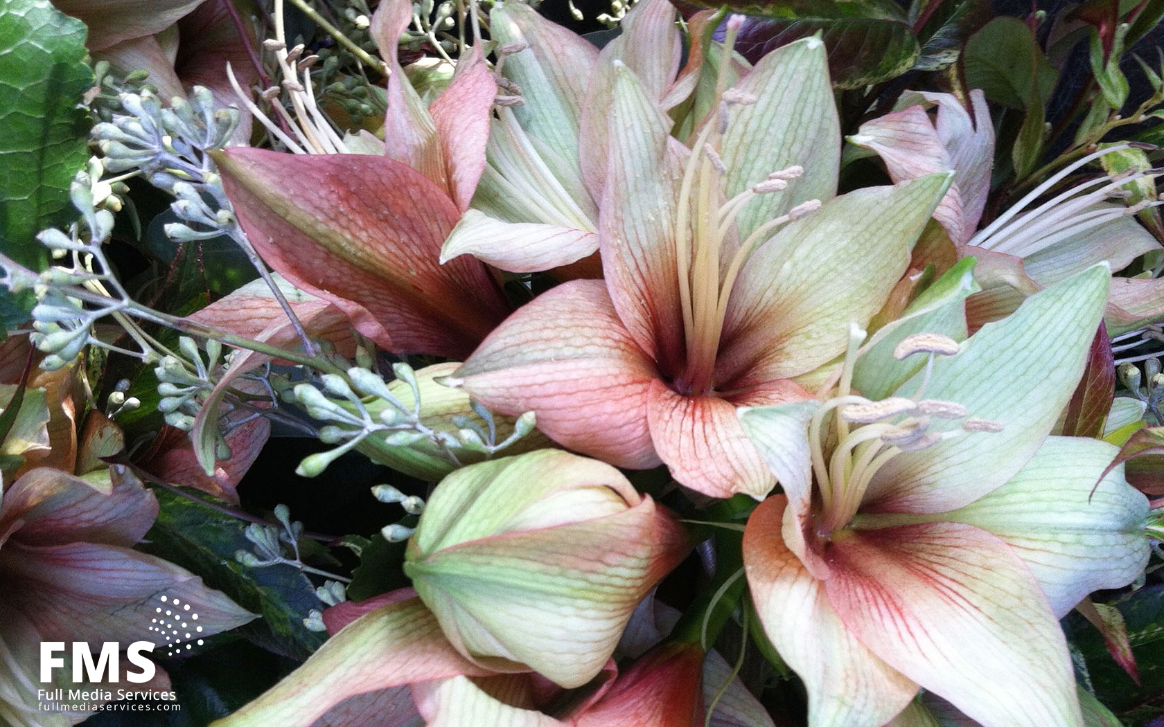 Updates to Pentimento Designs